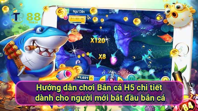 Game Bắn Cá H5: Xu hướng giải trí mới hấp dẫn 5 huong-dan-choi-ban-ca-h5-chi-tiet-danh-cho-nguoi-moi-bat-dau-ban-ca