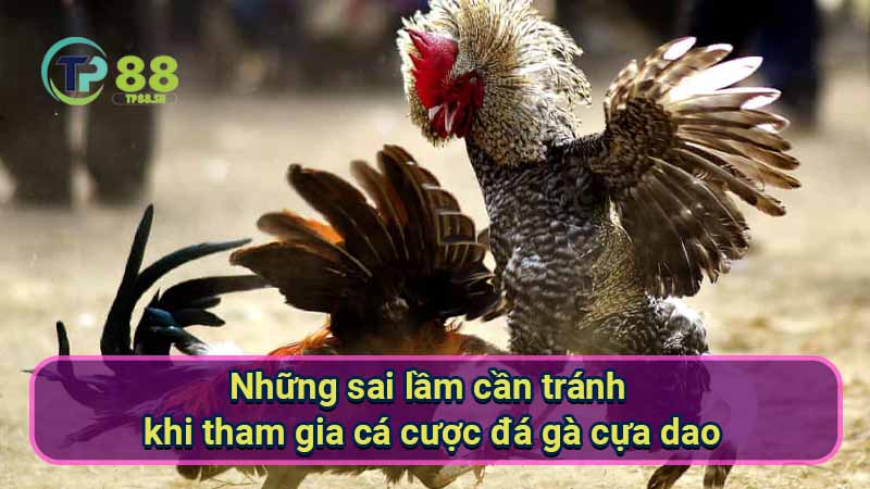 Đá Gà Cựa Dao: Hướng Dẫn & Kinh Nghiệm Cá Cược 7 nhung-sai-lam-can-tranh-khi-tham-gia-ca-cuoc-da-ga-cua-dao