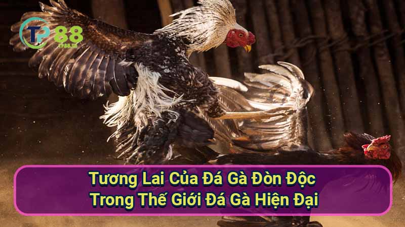 Đá Gà Đòn Độc: Bí Kíp Chiến Thắng Tuyệt Đối 7 tuong-lai-cua-da-ga-don-doc-trong-the-gioi-da-ga-hien-dai