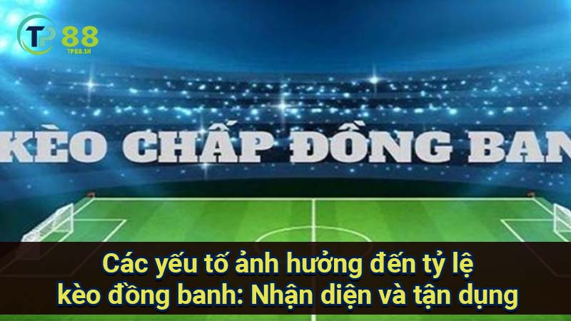 Phân tích kèo đồng banh: Bí quyết thắng lớn từ chuyên gia 7 cac-yeu-to-anh-huong-den-ty-le-keo-dong-banh:-nhan-dien-va-tan-dung