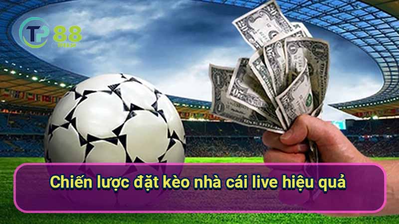 Kèo Nhà Cái Live: Cẩm Nang Toàn Tập Cho Người Mới 6 chien-luoc-dat-keo-nha-cai-live-hieu-qua