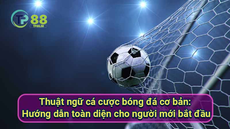 Thuật Ngữ Cá Cược Bóng Đá Cơ Bản Cho Người Mới 5 thuat-ngu-ca-cuoc-bong-da-co-ban:-huong-dan-toan-dien-cho-nguoi-moi-bat-dau