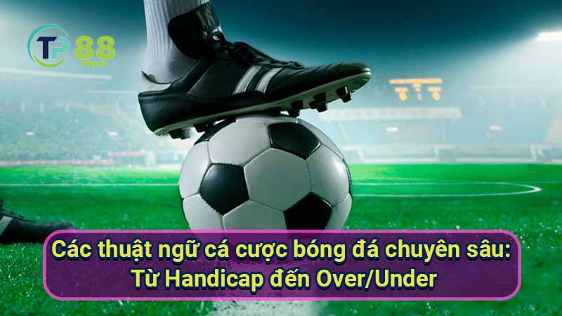 Thuật Ngữ Cá Cược Bóng Đá Cơ Bản Cho Người Mới 6 cac-thuat-ngu-ca-cuoc-bong-da-chuyen-sau:-tu-handicap-den-over-under