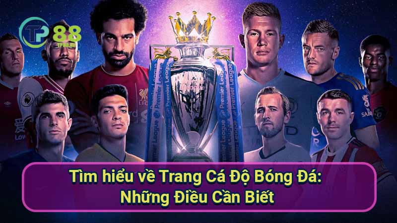 Trang Cá Độ Bóng Đá An Toàn & Uy Tín Nhất 5 tim-hieu-ve-trang-ca-do-bong-da:-nhung-dieu-can-biet