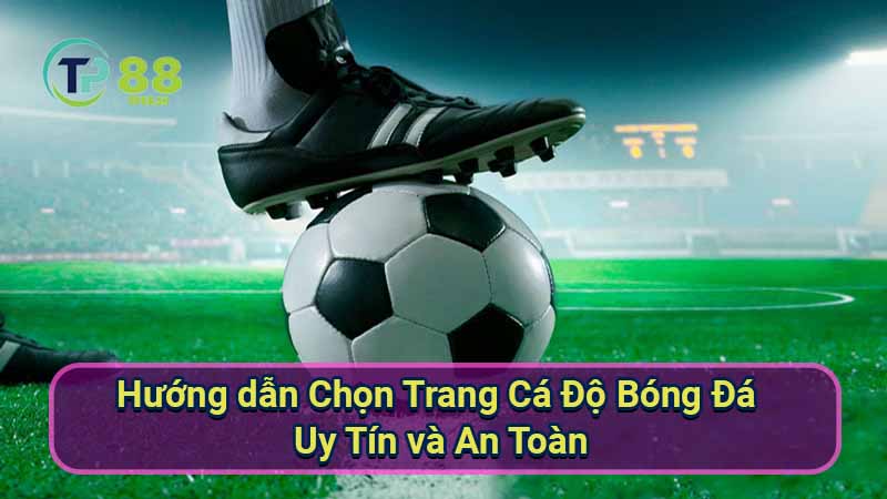 Trang Cá Độ Bóng Đá An Toàn & Uy Tín Nhất 6 huong-dan-chon-trang-ca-do-bong-da-uy-tin-va-an-toan