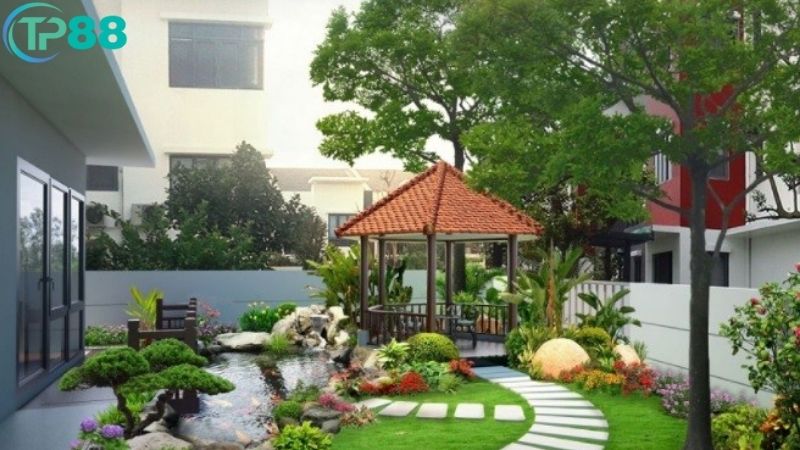 Cây To Trước Nhà Có Tốt Không? Cảnh Báo Phong Thủy Đại Kỵ 4 cay-to-truoc-nha-co-tot-khong-1