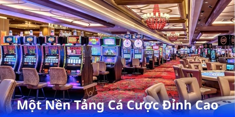 23win - Cổng Game Giải Trí Hấp Dẫn, Tỷ Lệ Thắng Cao 3 mot-nen-tang-ca-cuoc-dinh-cao